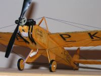 Moustique PICT7770-1024